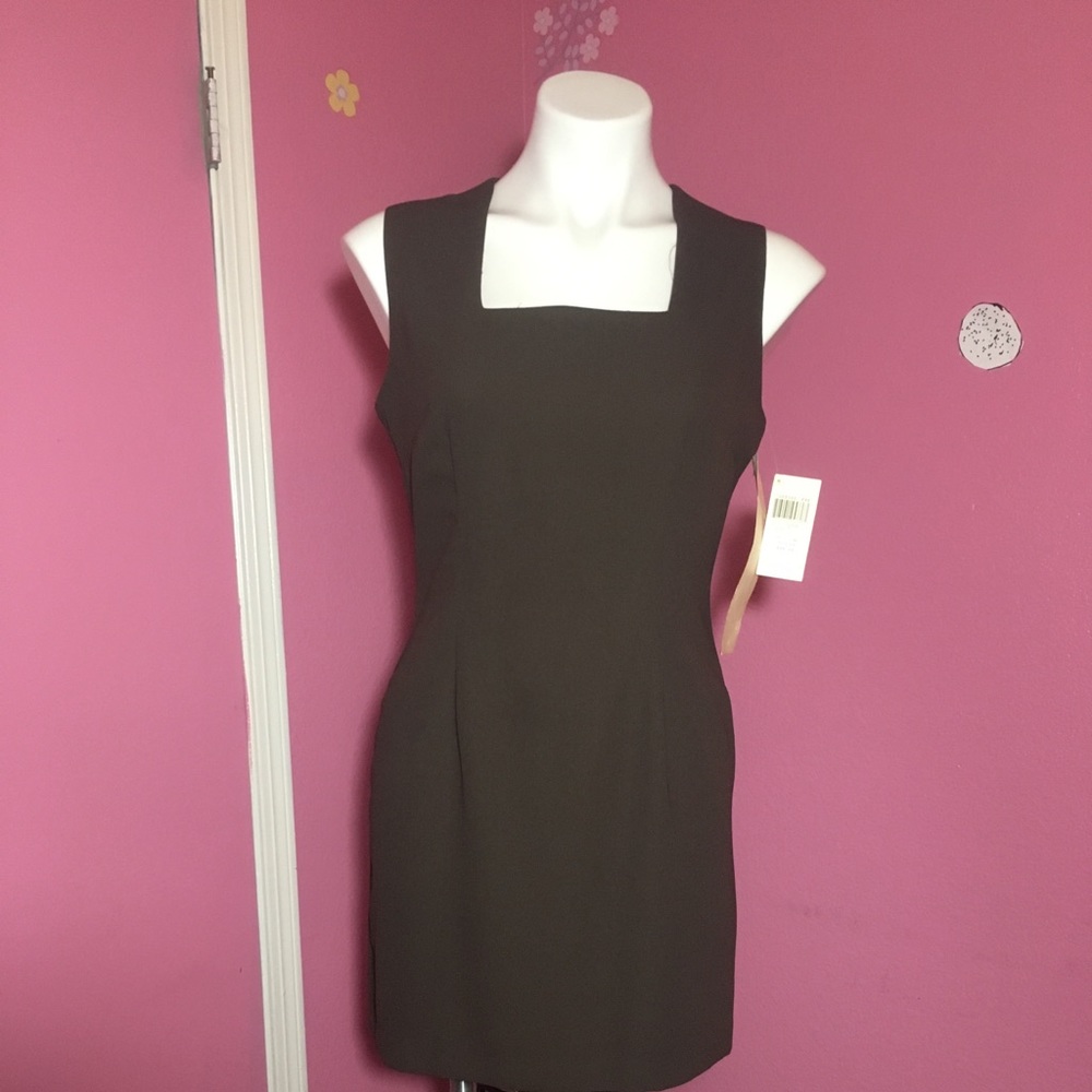 Professional Brown Business Dress.